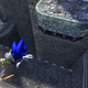 Illustration for article titled The Black Knight Takes Sonic To Greener Pastures